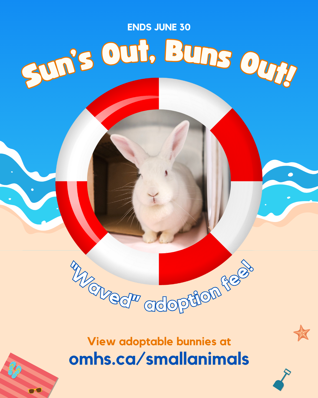 A poster for an adoption event titled "Sun's Out, Buns Out" to promote rabbit adoptions