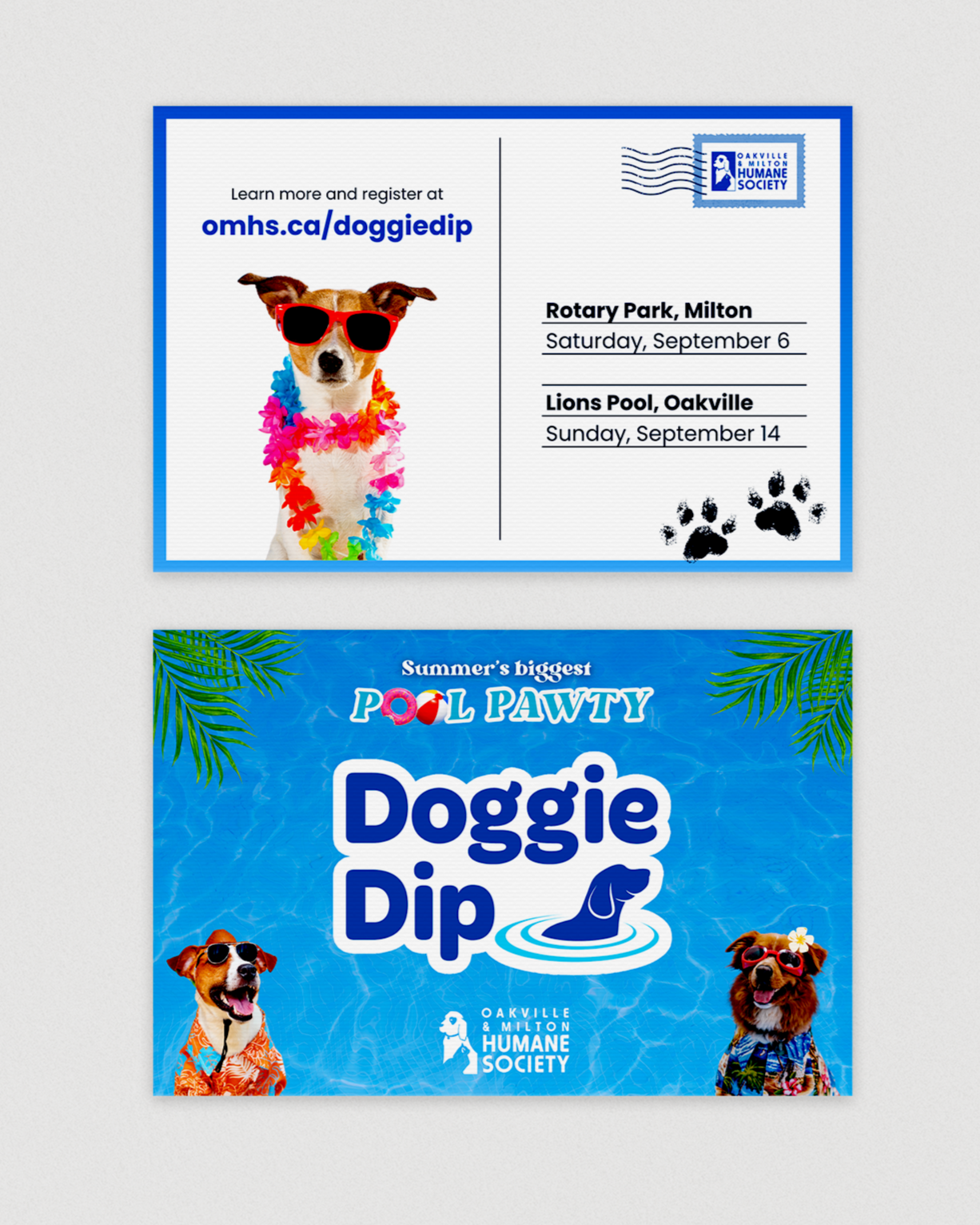 The front and back of a postcard promoting the event "Doggie Dip" where dogs can swim at a pool closing for the season