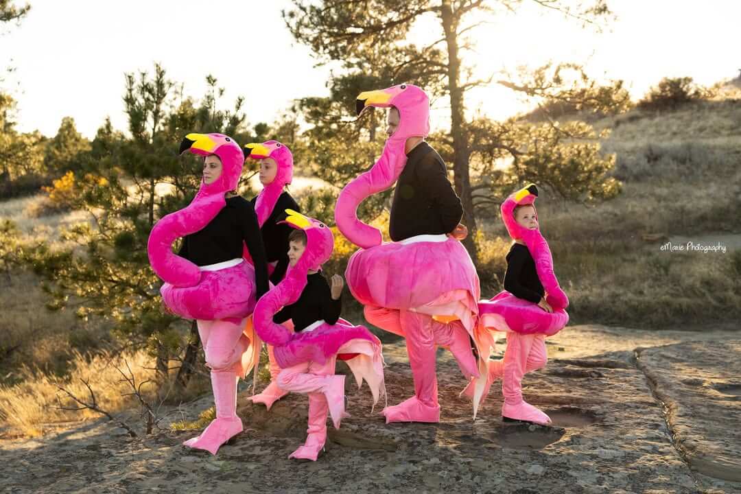 family photographer dressed as flamingoes in billings mt