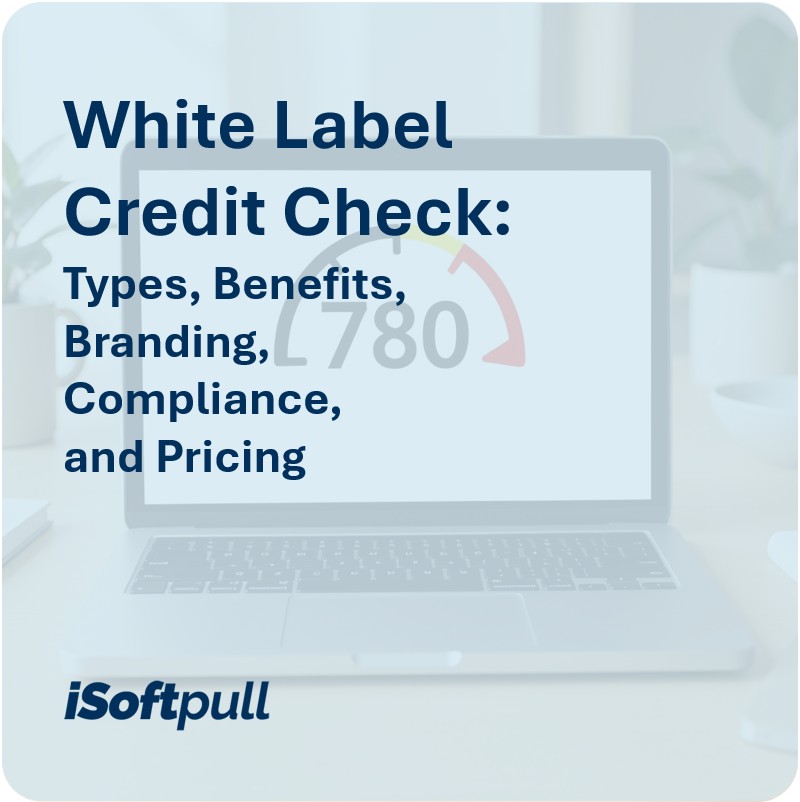 White Label Credit Check