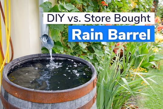 DIY vs. Store-Bought Rain Barrel System - Rain Barrel collecting water