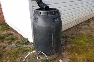 Rain Barrel