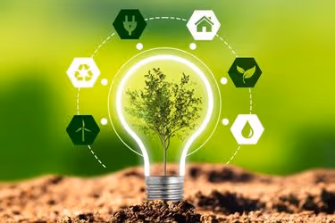 Sustainability Concept Lightbulb