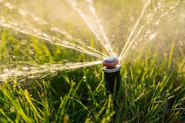 Time Your Irrigation System