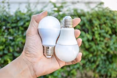 Hand holding LED light bulbs