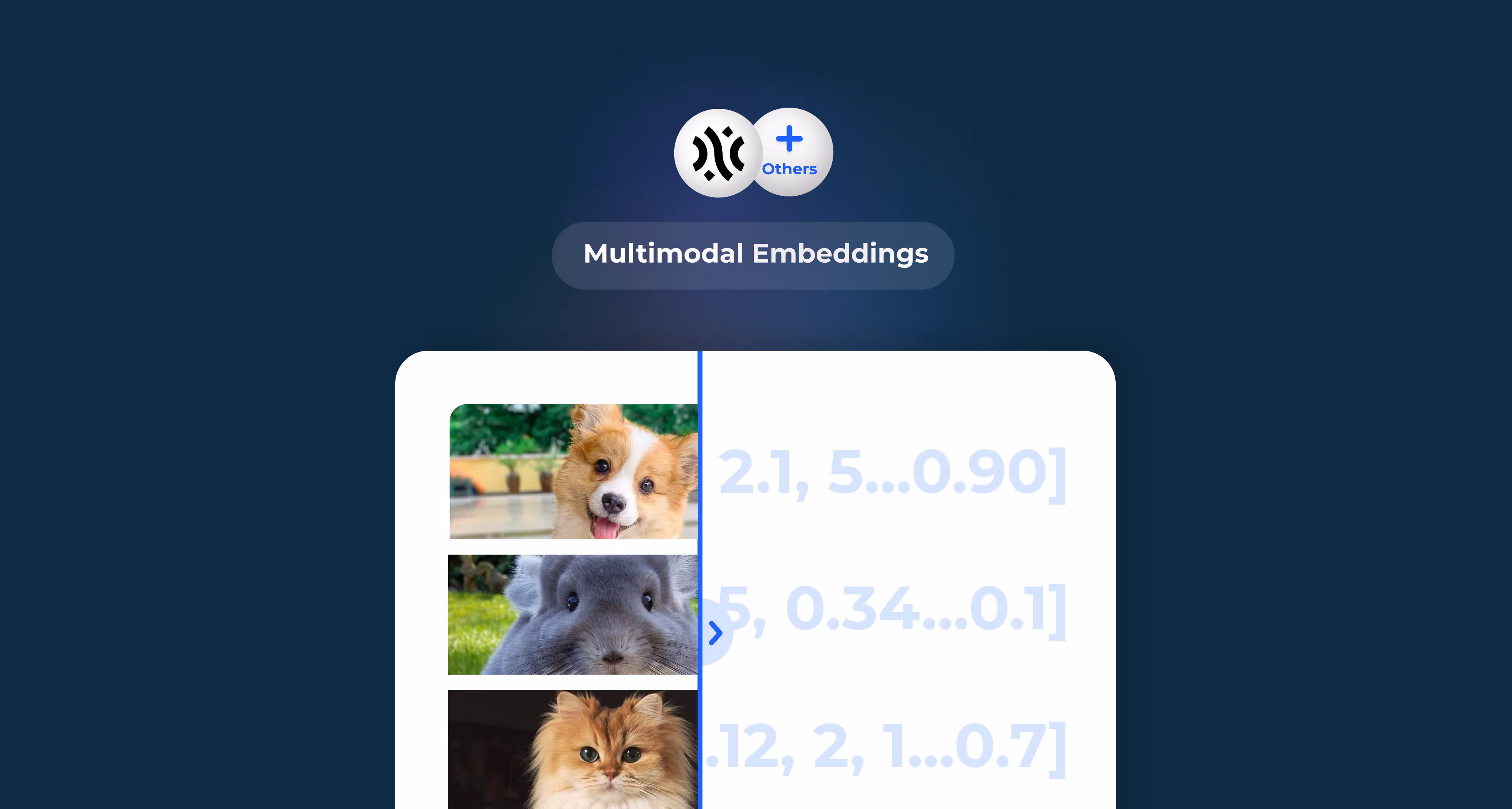 multimodal embeddings