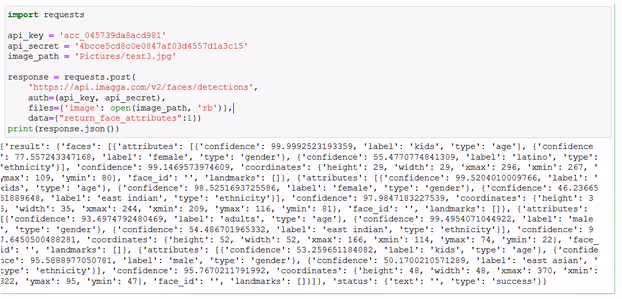 Imagga API's coding result