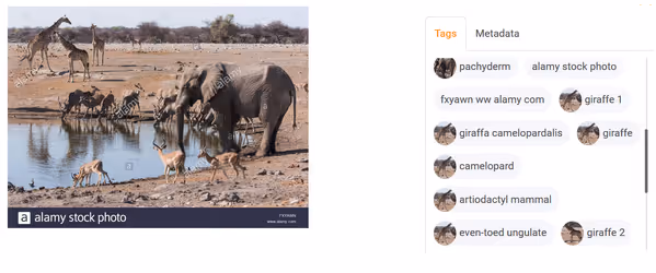 Object Detection API for Chooch AI