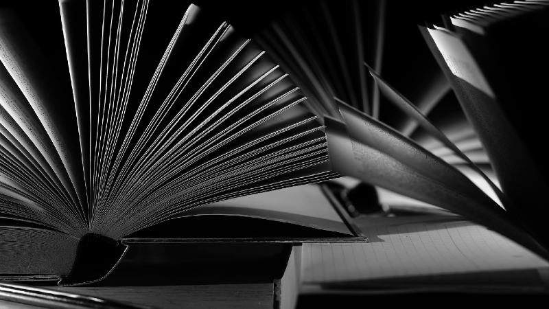 Resilience vs Agility: Why Great Transformation Leaders Don’t Choose