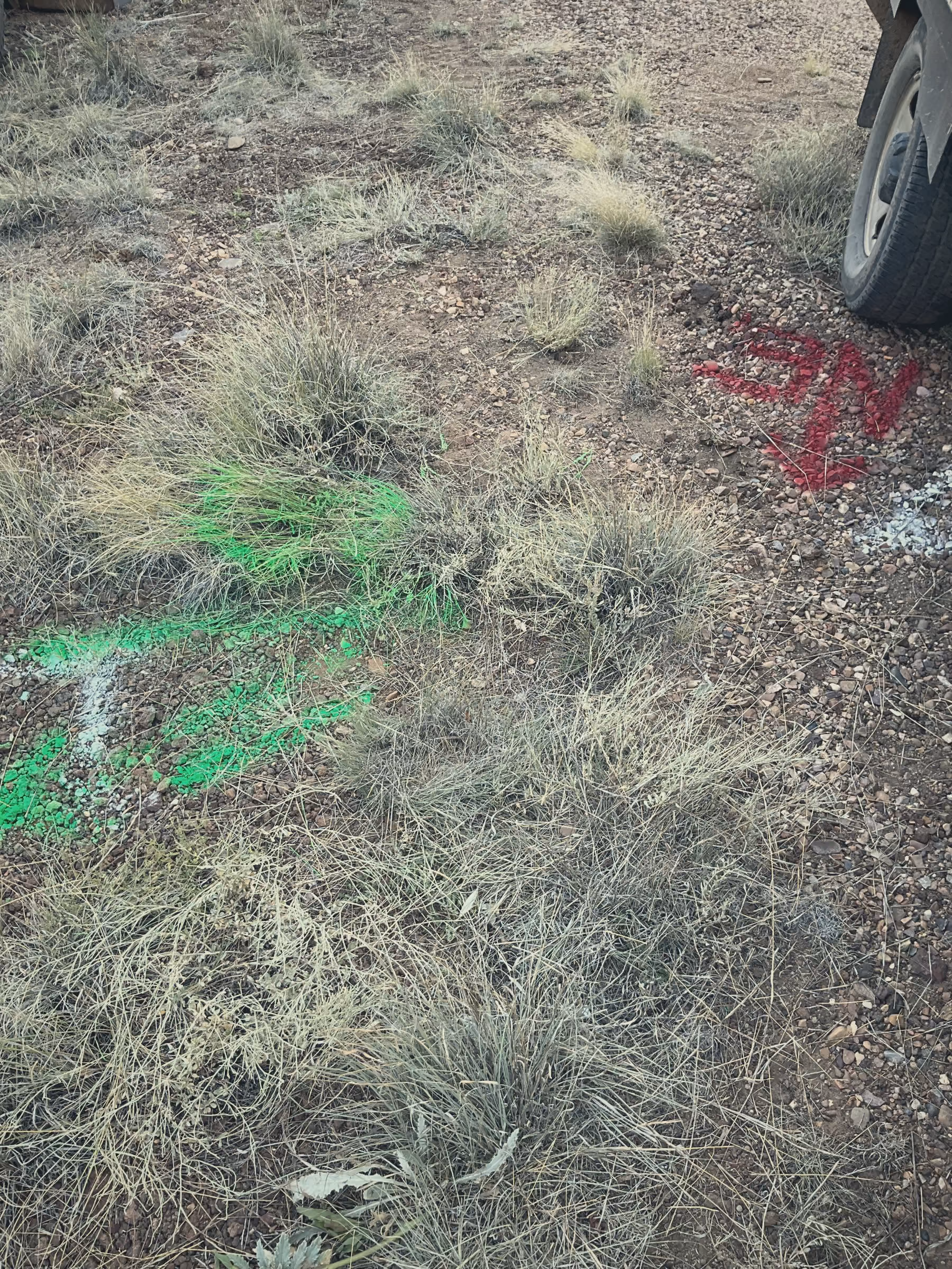 Utility locate paint marks on the ground marking buried lines before digging