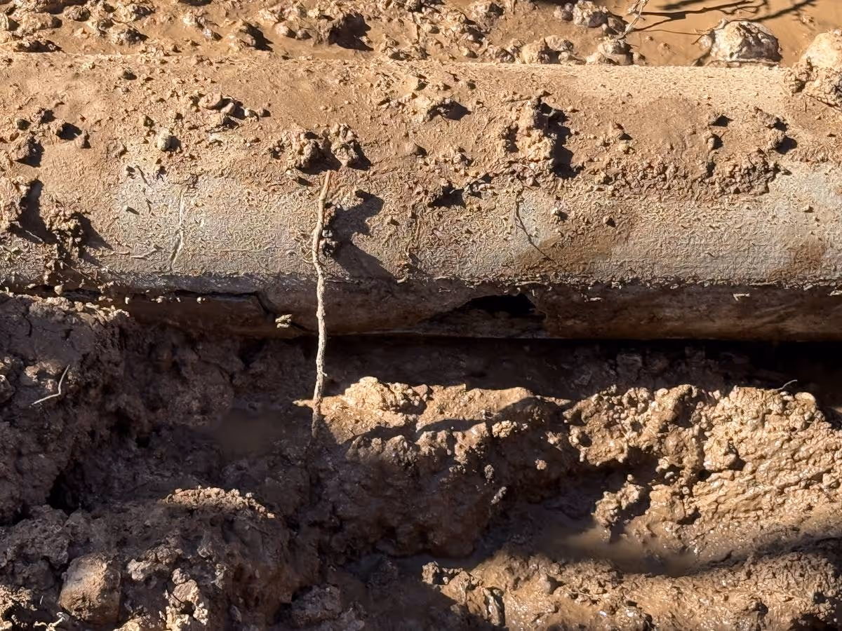 Black pipe joined underground with a metal clamp secured by multiple blue bolts, surrounded by muddy soil.