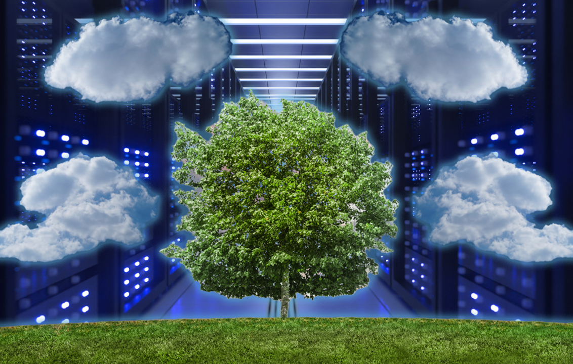 a tree in a room with clouds in the background