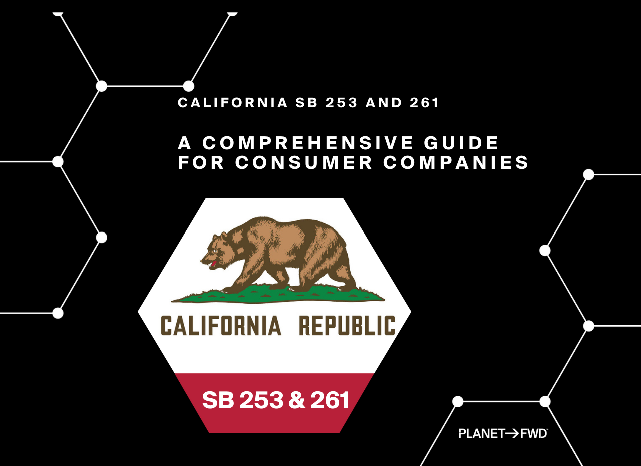 a black background with a bear and white text
