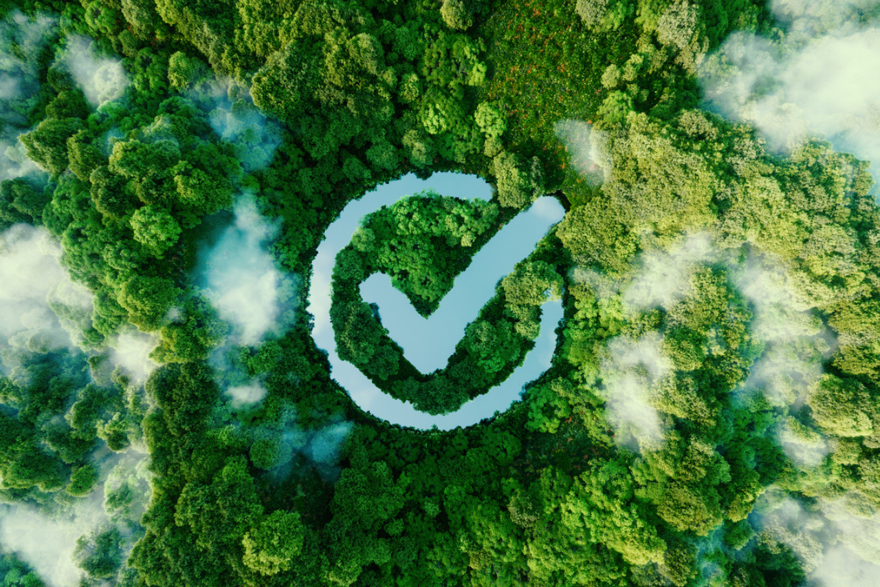 a circle with a check mark in the middle of a forest