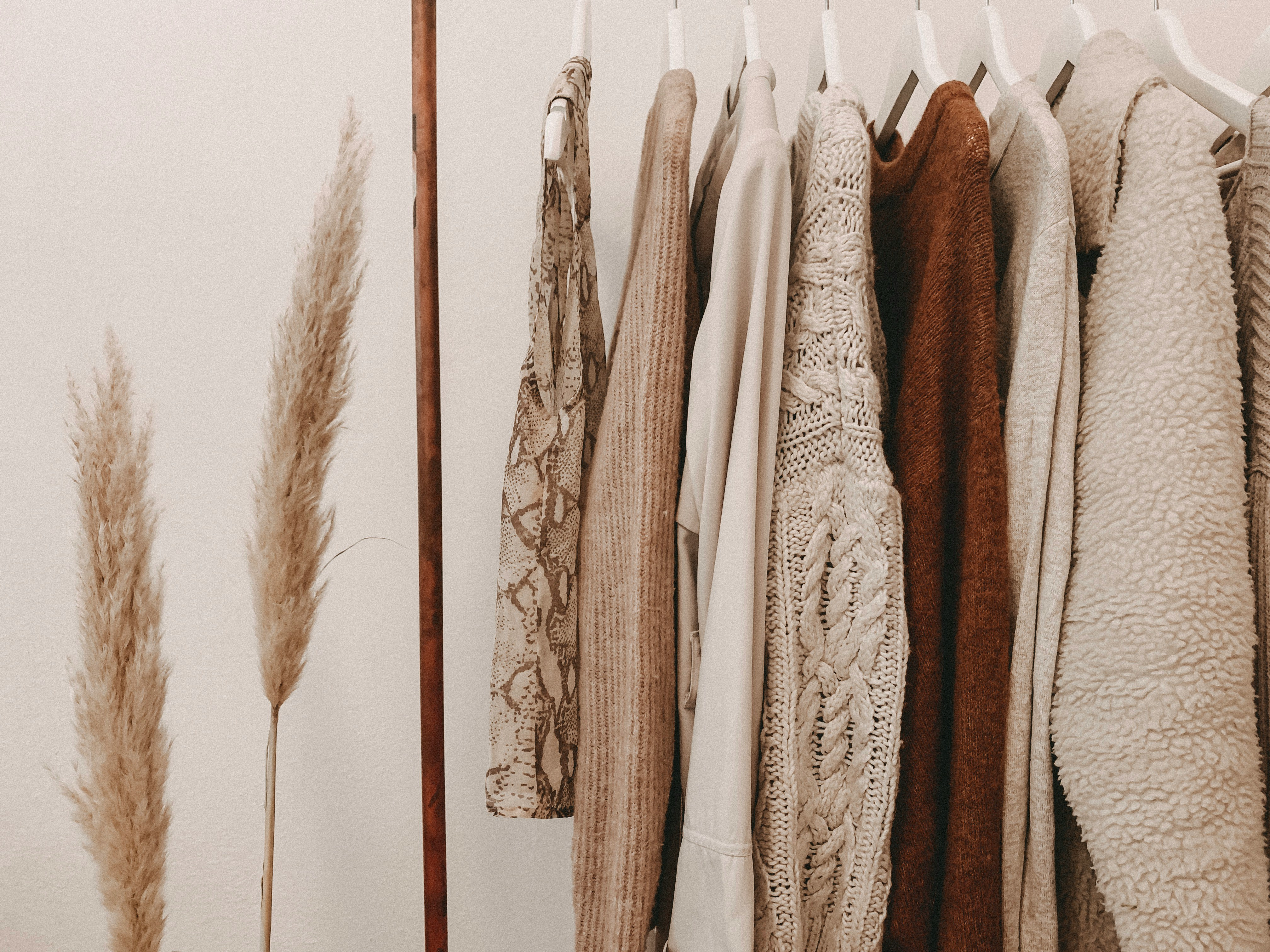 clothes on a rack next to a plant