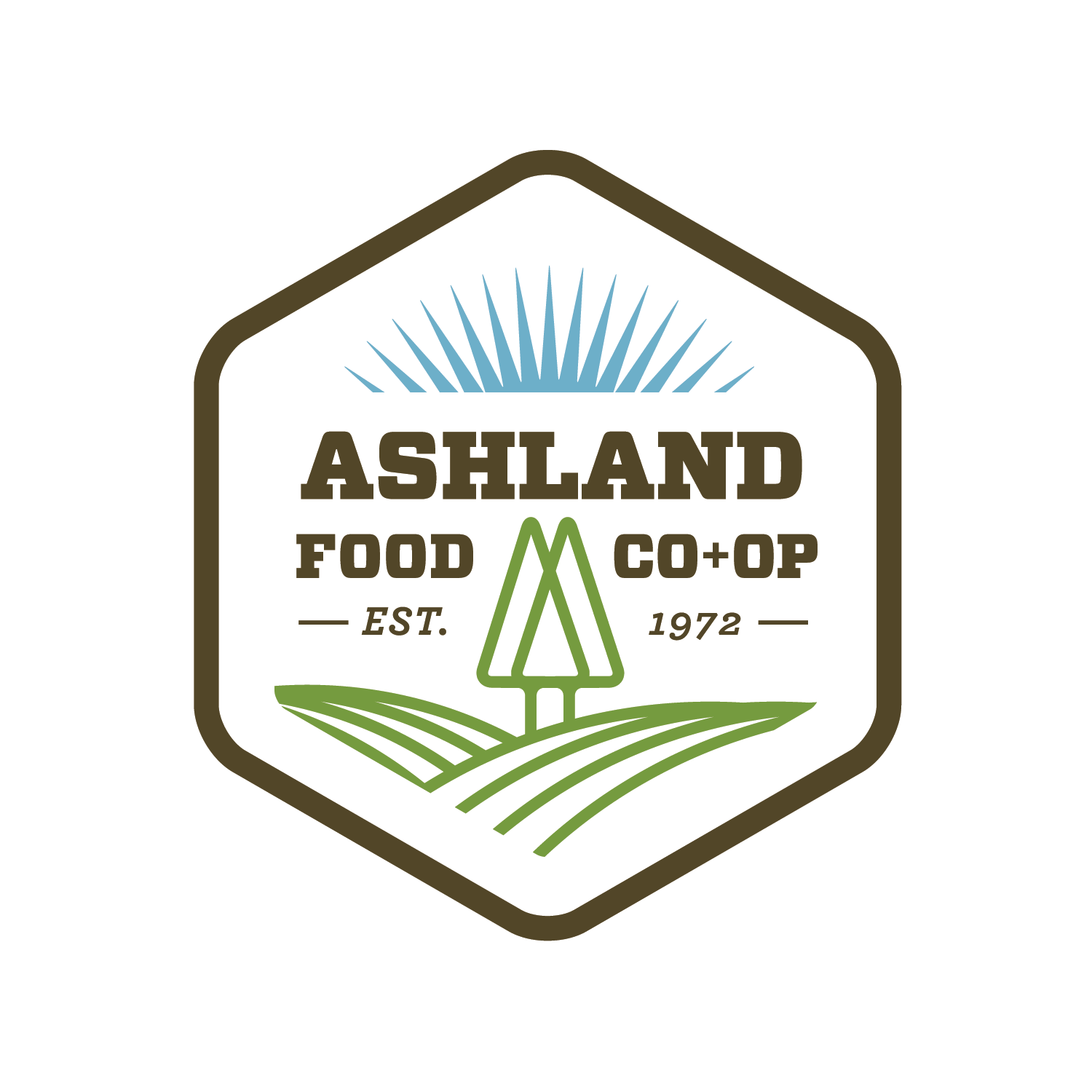 a hexagon shaped logo with green and white text