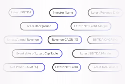Filter tags with financial and business terms such as Investor Name, Team Background, Revenue CAGR (%), Latest Net Profit, and others in rounded rectangles with varying shades of gray and blue.