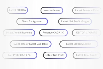 Filter tags with financial and business terms such as Investor Name, Team Background, Revenue CAGR (%), Latest Net Profit, and others in rounded rectangles with varying shades of gray and blue.
