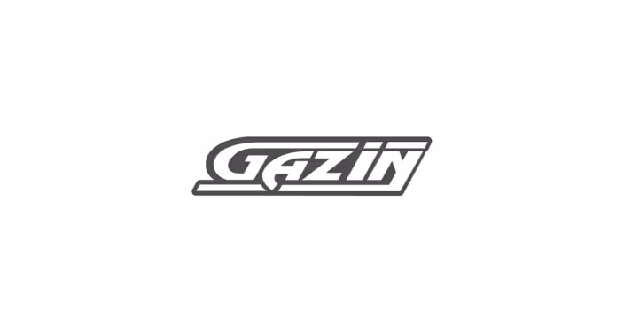 Gazin