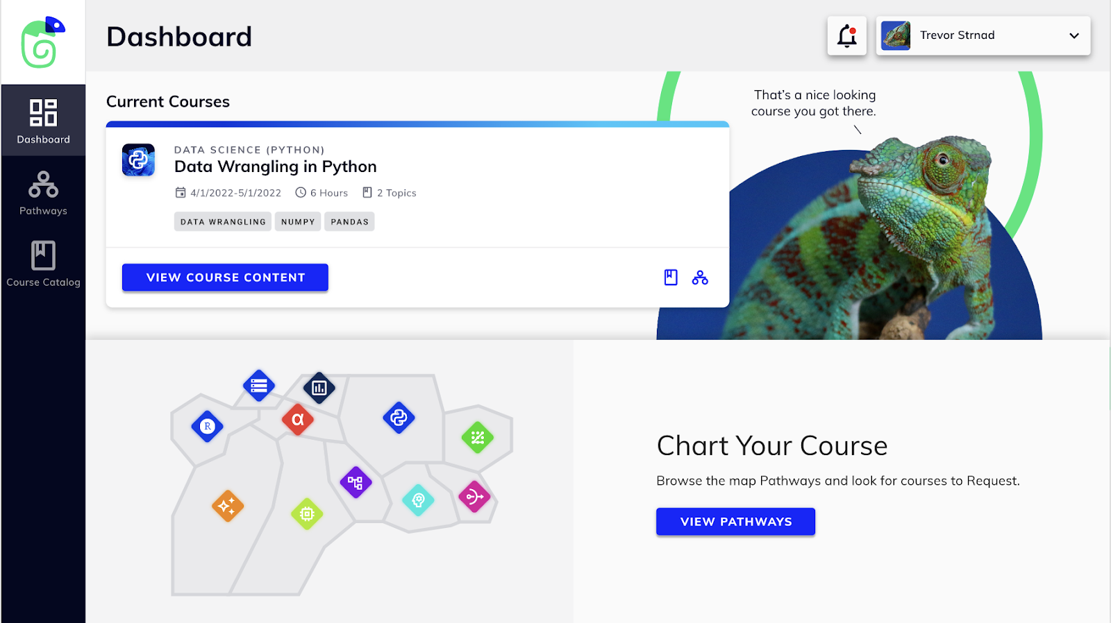 meldR dashboard chart 