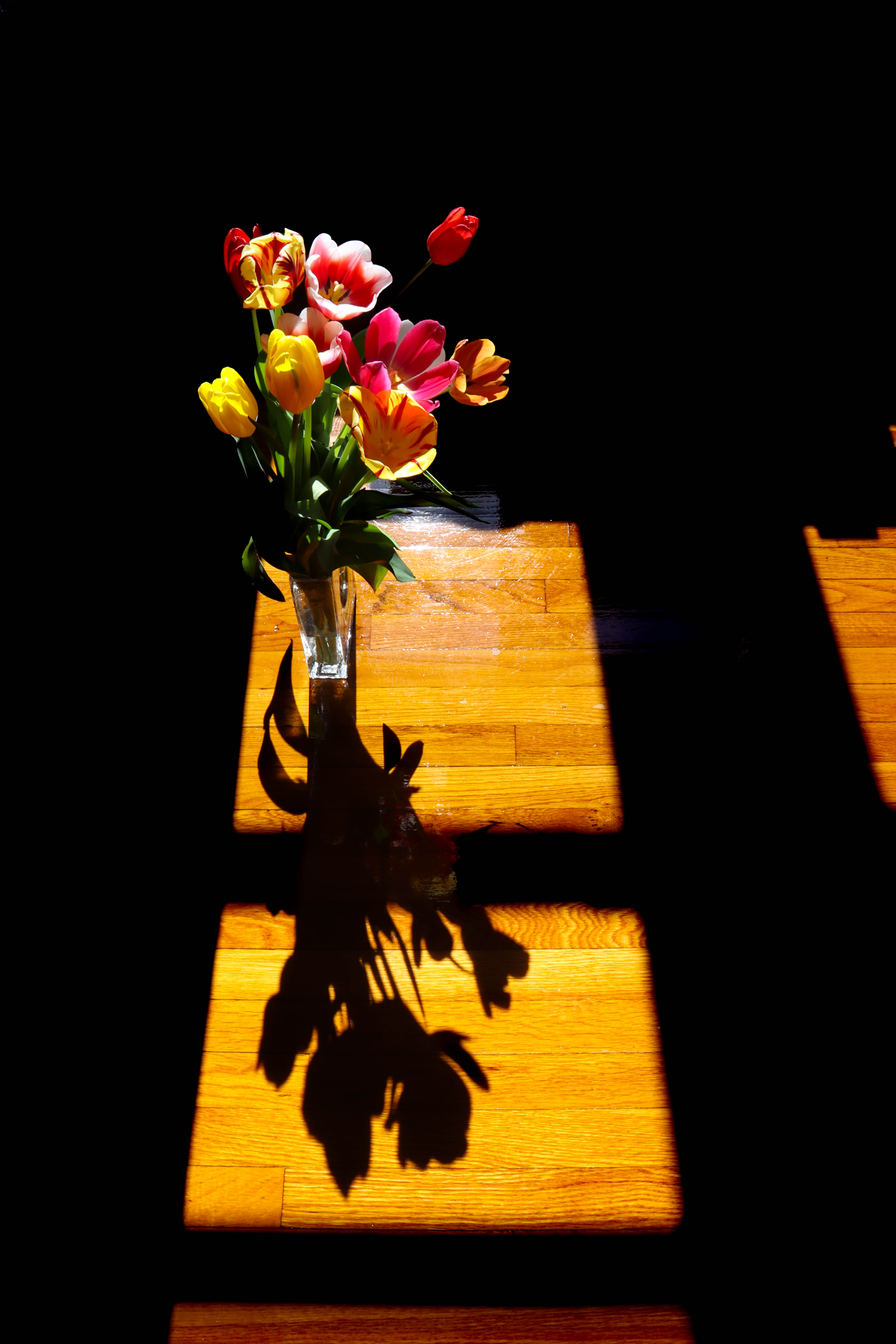 Bouquet of colorful tulips in vase casting shadows on sunlit wooden floor.