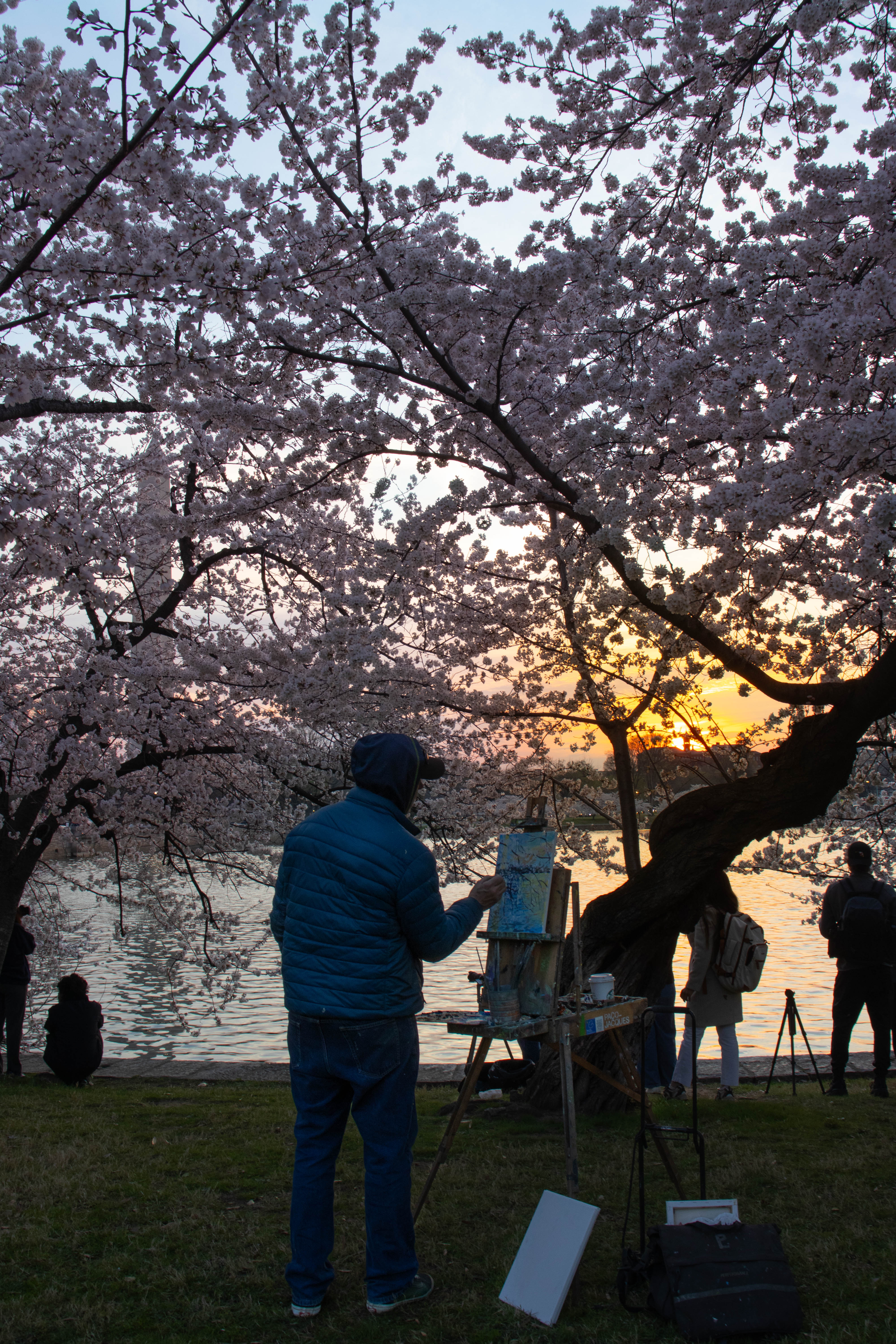 Person painting cherry blossoms by the river at sunset with others enjoying the view nearby.