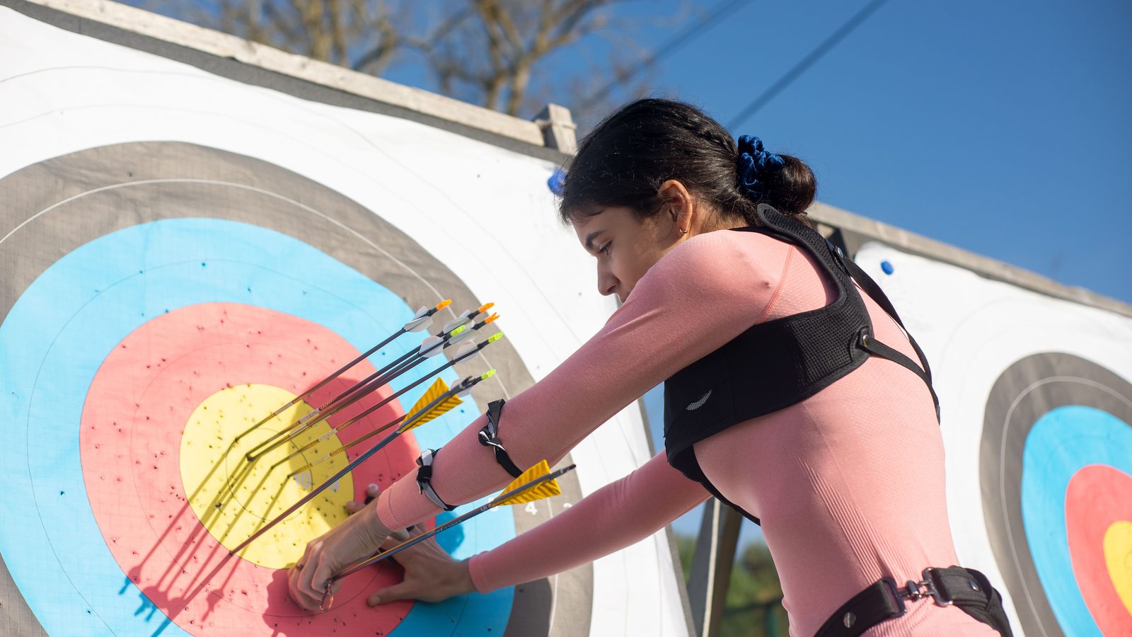 Archery target arrow precision.