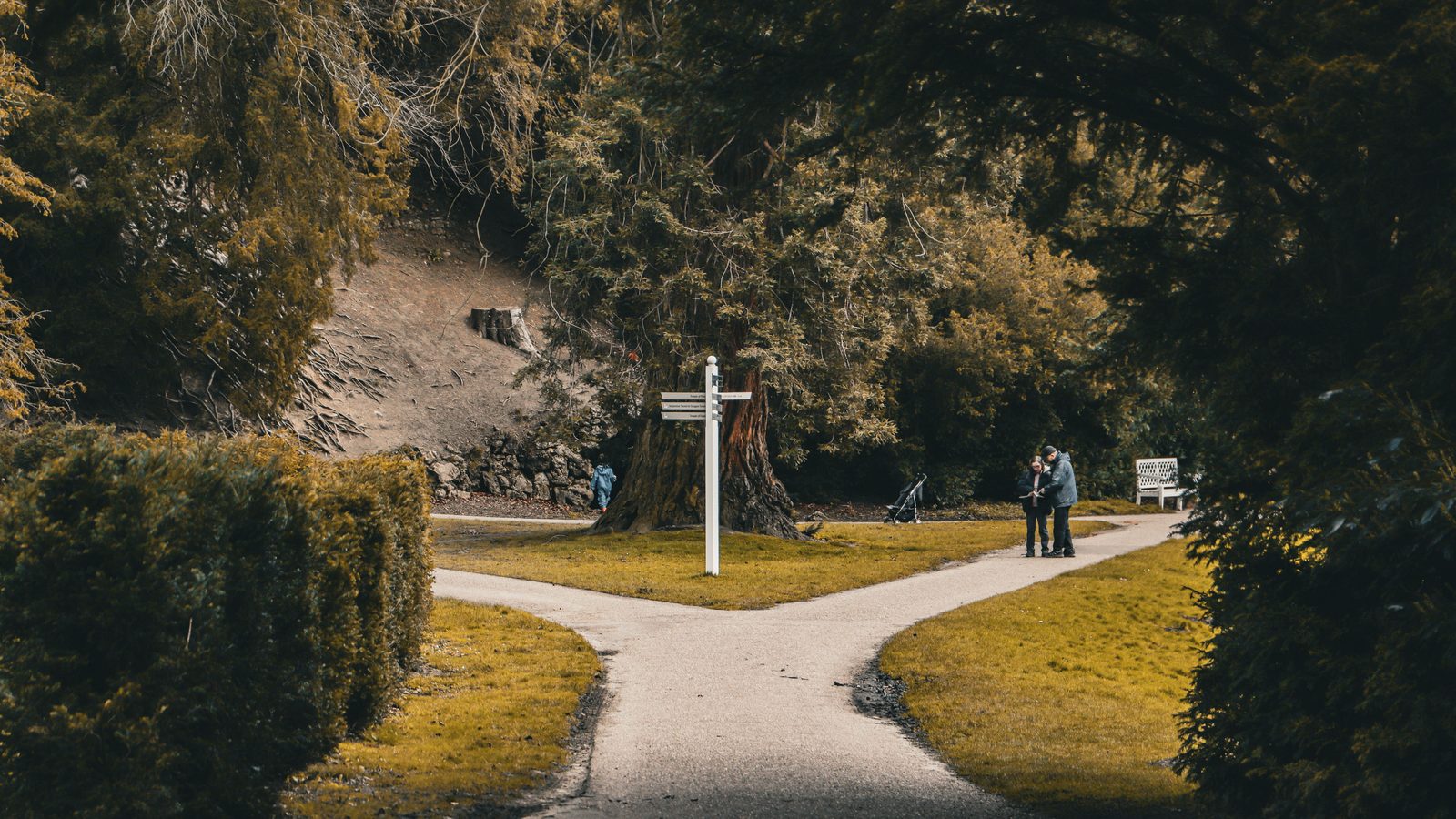 Fork in the road path choice.