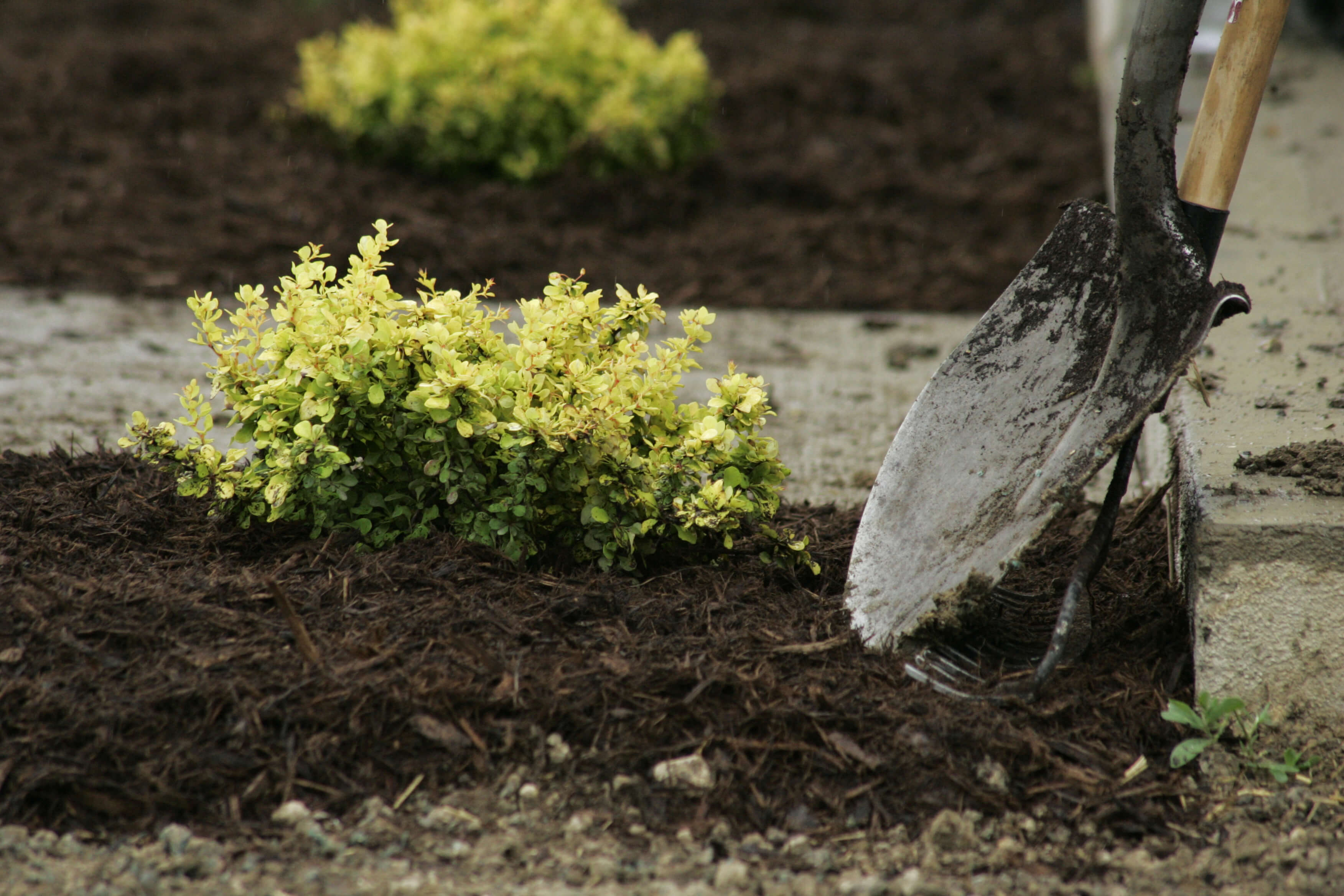 Fresh mulch installed in a landscape bed