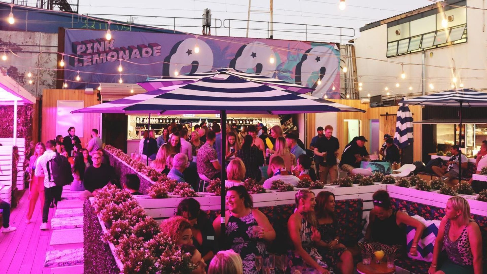 Photo of Quiz Meistes venue