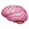 icone cerveau