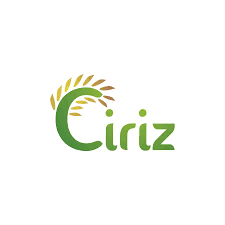 CIRIZ