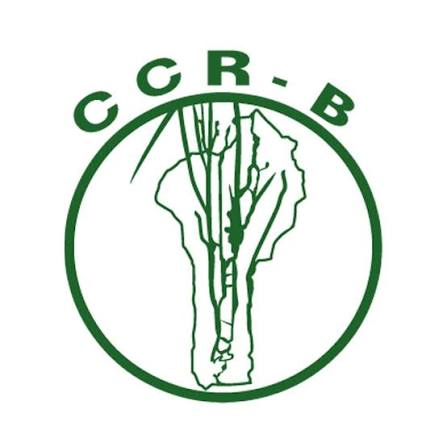 CCR-B