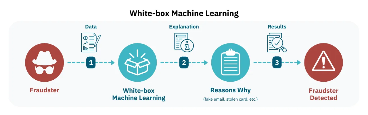 White-box machine learning model