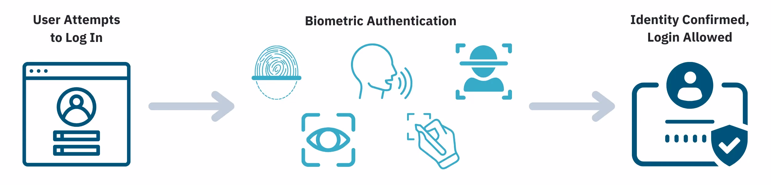 How the biometric verification process works