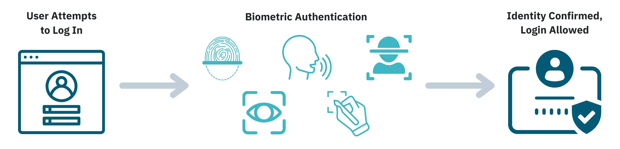 How the biometric verification process works