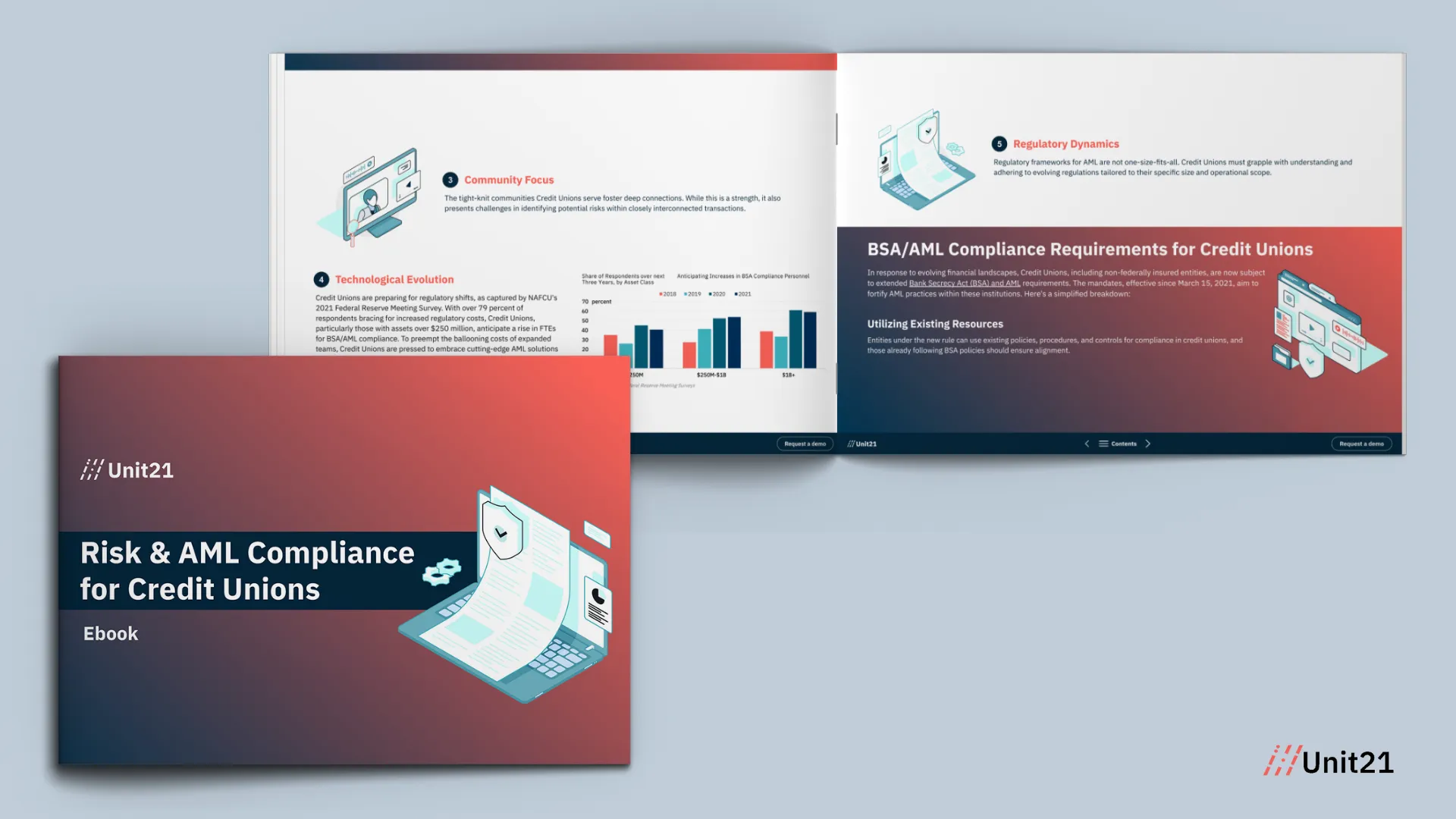 Risk & AML Compliance for Credit Unions