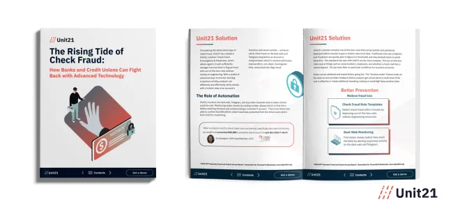 The Rising Tide of Check Fraud