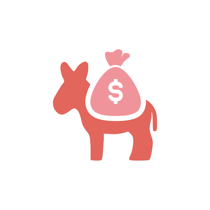 Money Mules