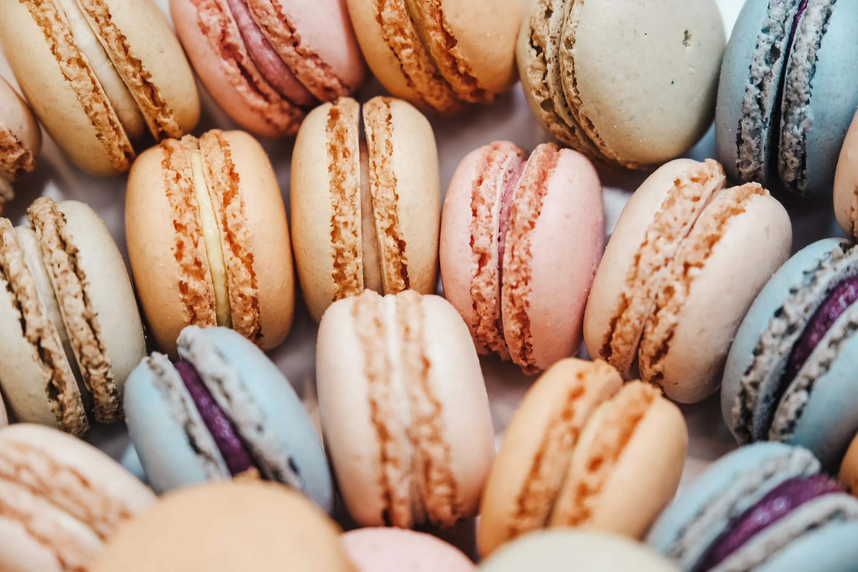 macaron lined in a row  at BiteUnite