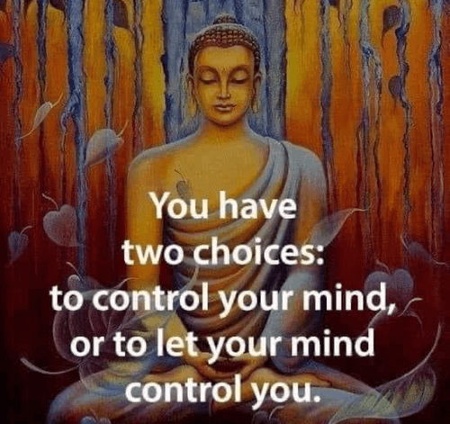 Text overlay "You have two choices: to control your mind, or to let your mind control you." on Stress, Anxiety, Thoughts page