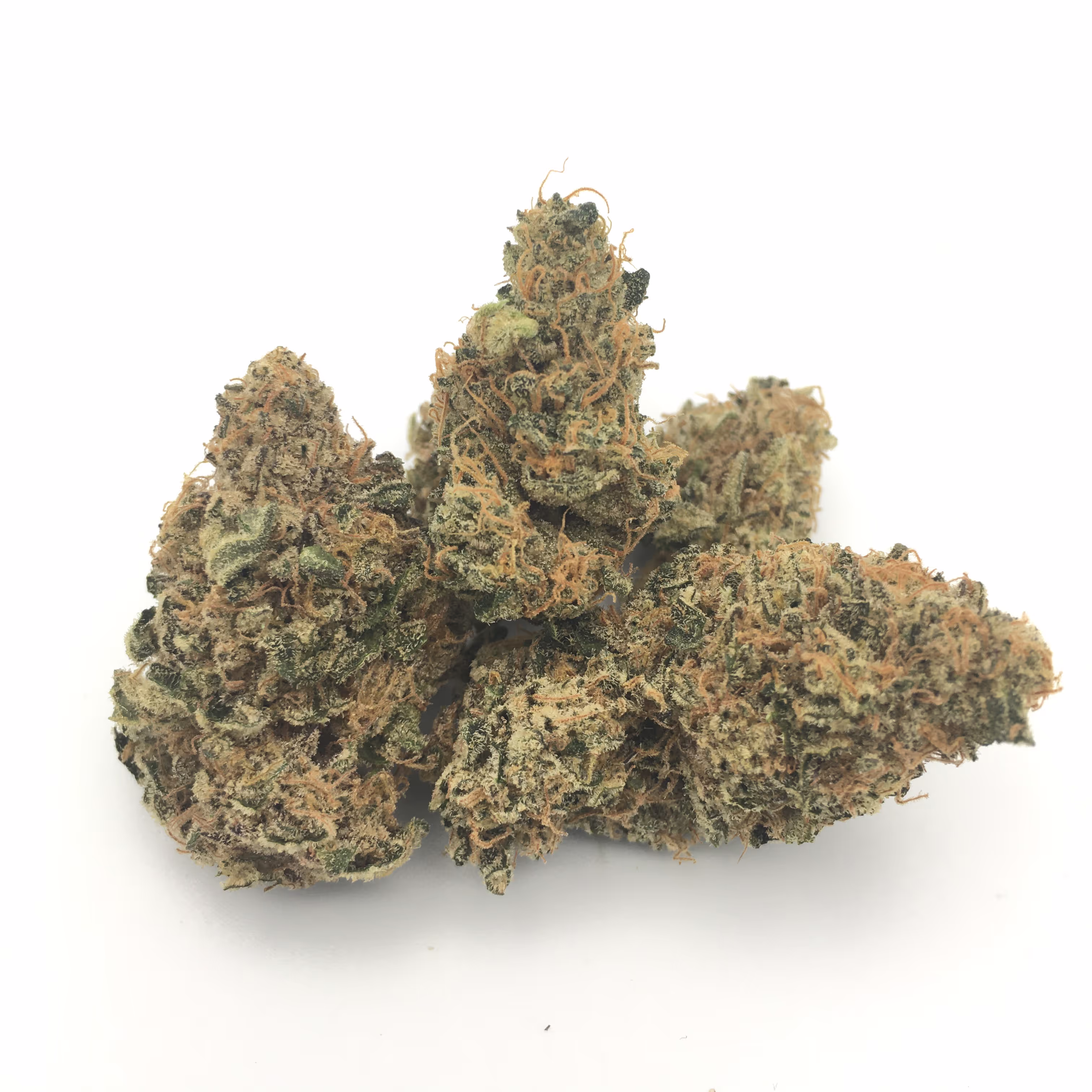 Holidaze | 1/8 oz.