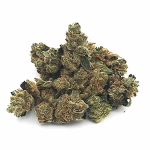 Black Garlic | 1/8 oz.