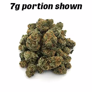 Northern Lights #5 | Mini-Buds | 1/8 oz.