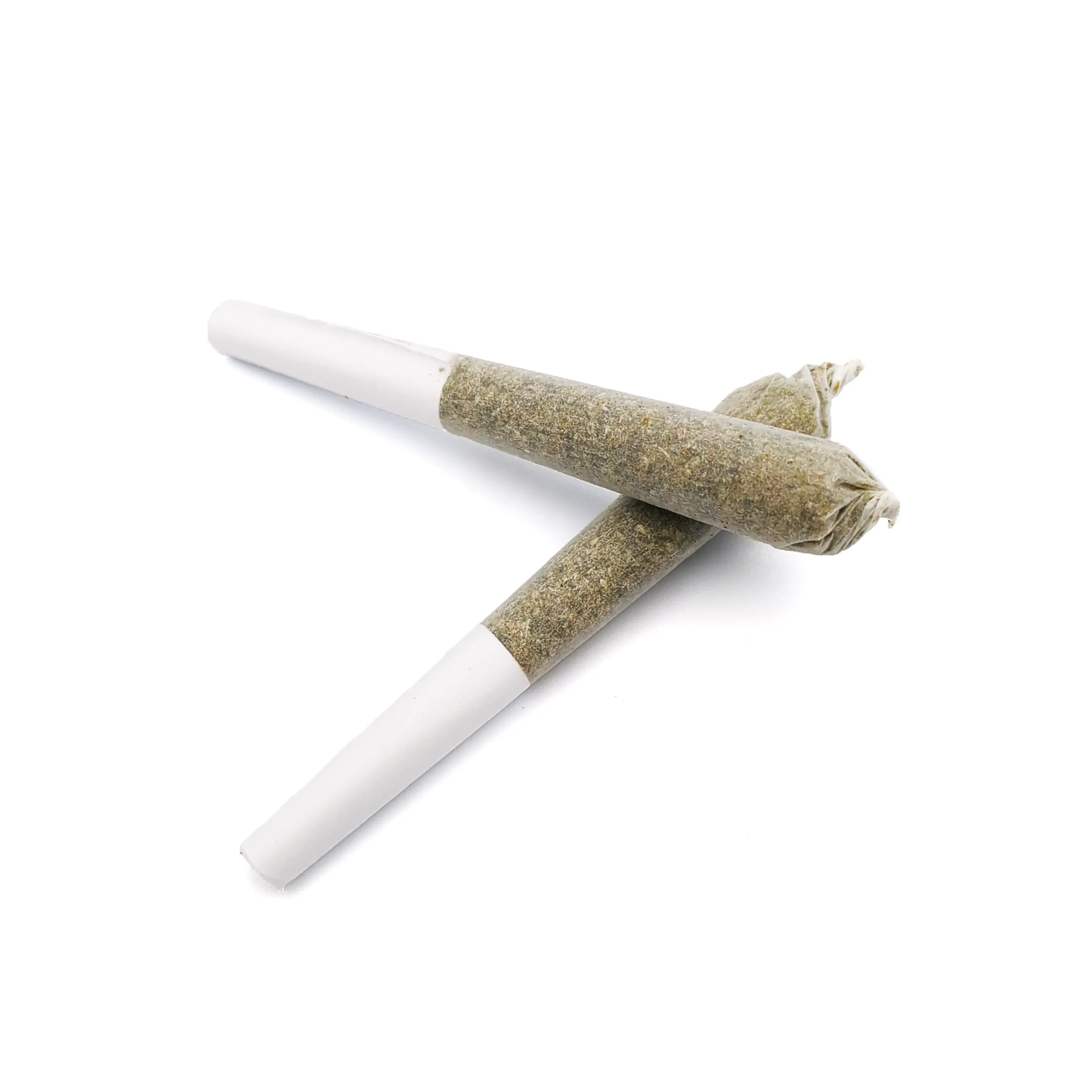 Wicked Witch Of The East | 2pk | 0.5g