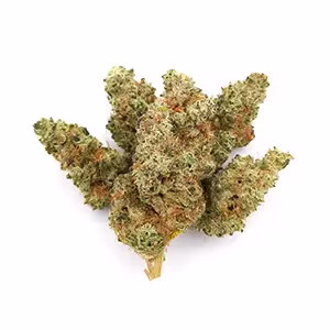 GMO | 1/8 oz.
