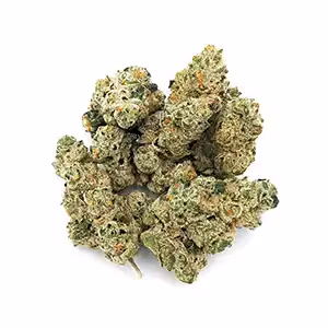 Amoretto Sour | 1/8 oz.