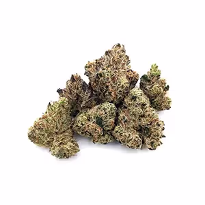 Garlic Drip | 1/8 oz.