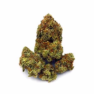 Lemon S'mores | 1/8 oz.