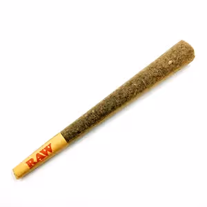 East Coast Irene | 1g